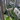 click here for next picture